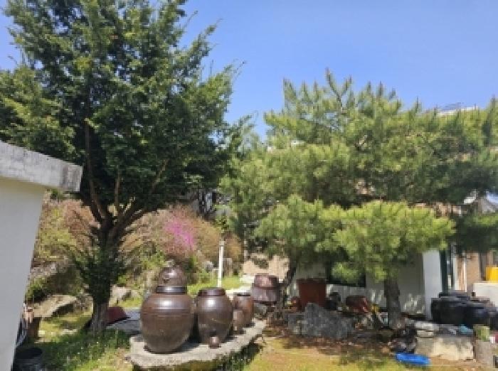 충청북도 단양군 대강면 무수천리 92-1 주택 경매 사진 8
