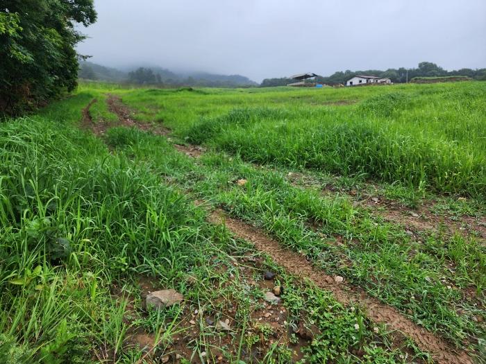 충청남도 부여군 은산면 가곡리 73-1 전 경매 사진 4