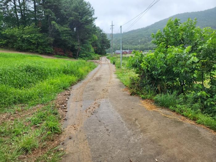 충청남도 부여군 은산면 가곡리 73-1 전 경매 사진 5
