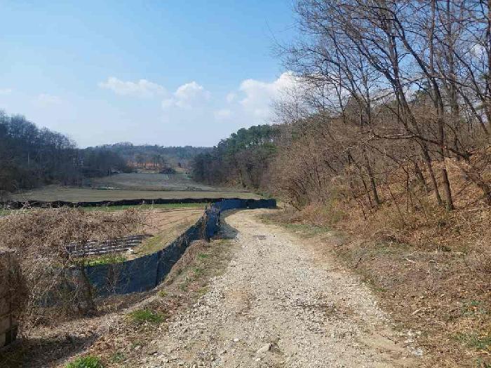 충청남도 천안시 서북구 성환읍 학정리 652-1 임야 경매 사진 37