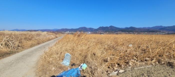 대구광역시 동구 신평동 396 답 경매 사진 10