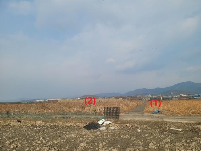 대구광역시 동구 신평동 396 답 경매 사진 12