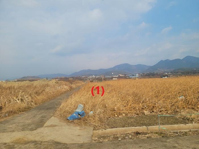 대구광역시 동구 신평동 396 답 경매 사진 2