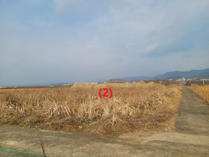 대구광역시 동구 신평동 396 답 경매 사진 3