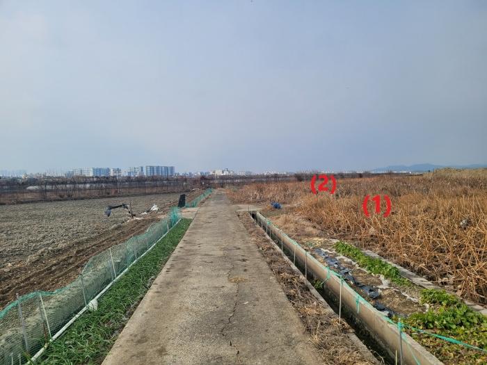 대구광역시 동구 신평동 396 답 경매 사진 4