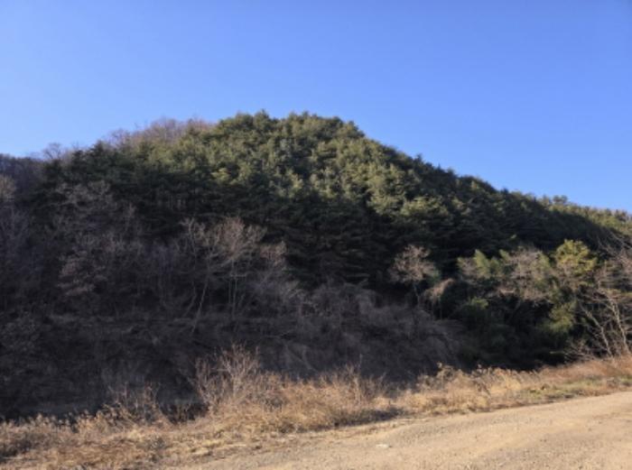 경상북도 영천시 북안면 고지리 산113 임야 경매 사진 3