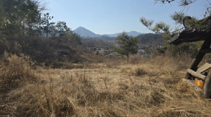 경상북도 칠곡군 약목면 남계리 1055-49 전 경매 사진 1