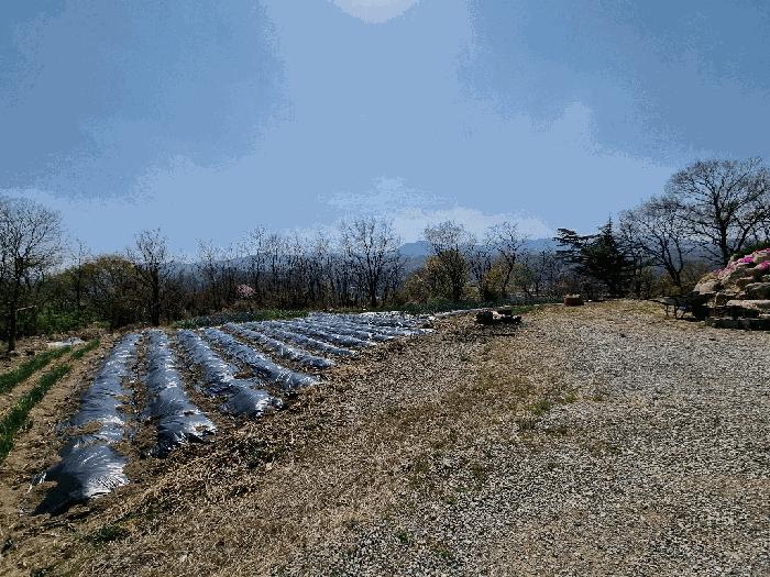 경상북도 영천시 신녕면 완전리 775-3 전 경매 사진 1