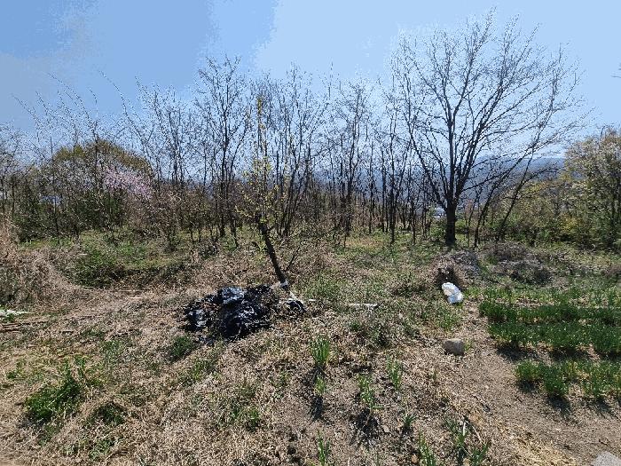 경상북도 영천시 신녕면 완전리 775-3 전 경매 사진 3