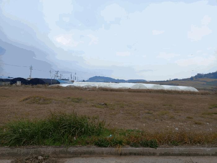 전라남도 함평군 손불면 석창리 522-2 양어장 경매 사진 1
