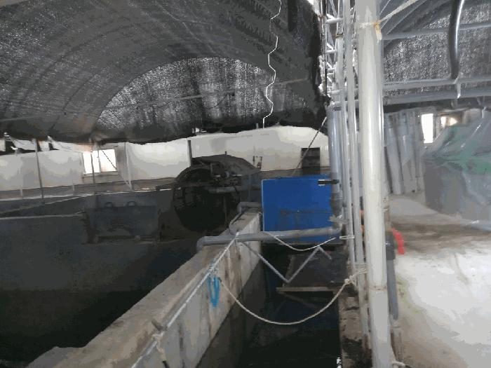 전라남도 함평군 손불면 석창리 522-2 양어장 경매 사진 58