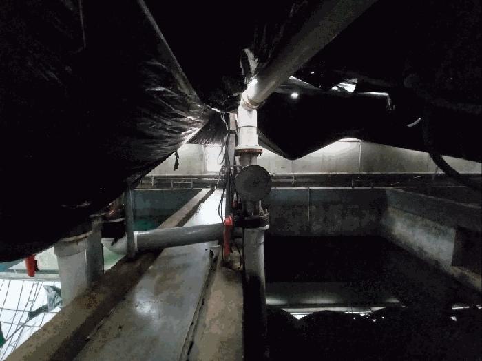 전라남도 함평군 손불면 석창리 522-2 양어장 경매 사진 67