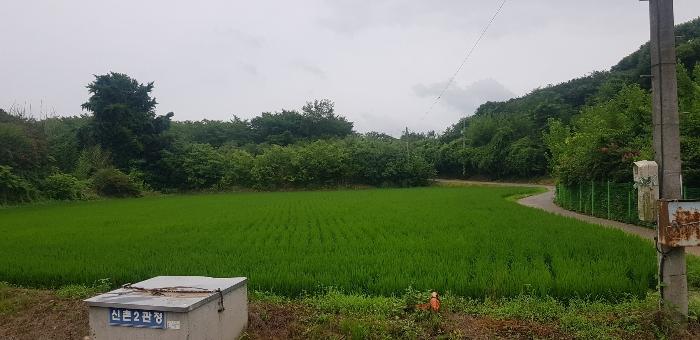 경상남도 진주시 일반성면 창촌리 456-2 전 경매 사진 2