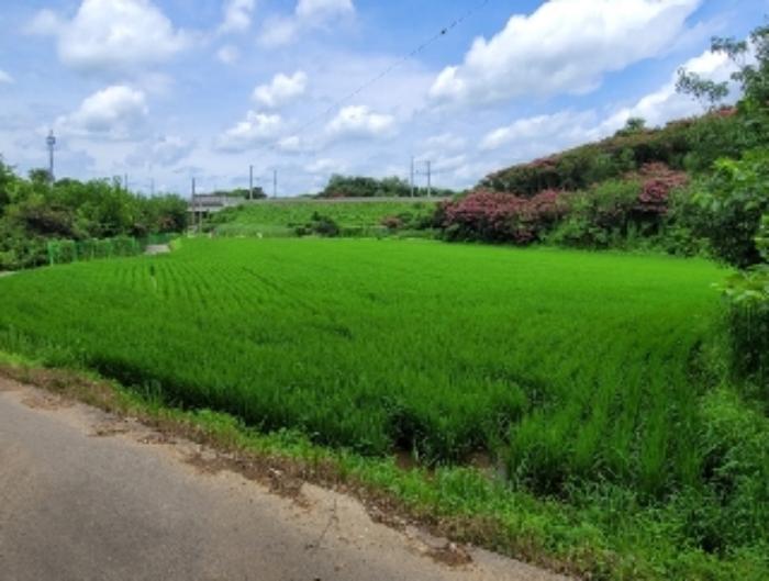 경상남도 진주시 일반성면 창촌리 456-2 전 경매 사진 5