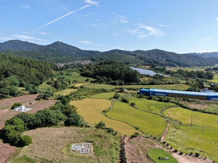 전라남도 해남군 삼산면 신흥리 216 답 경매 사진 1
