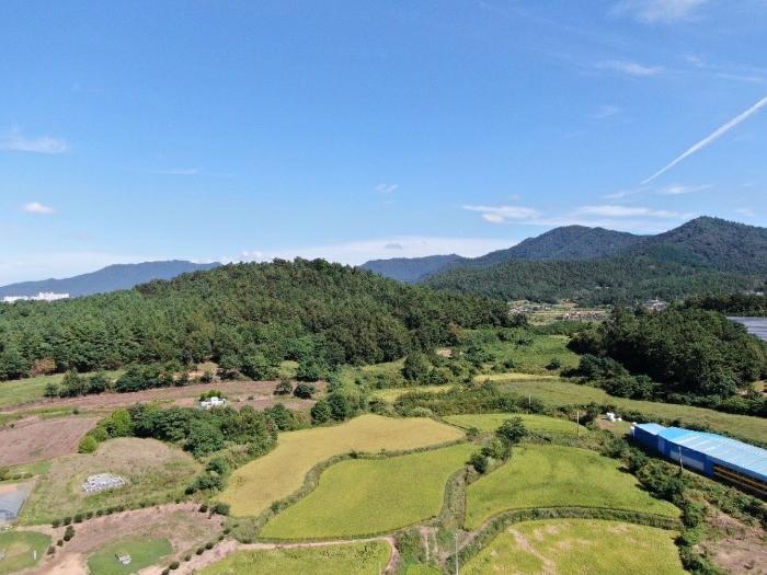 전라남도 해남군 삼산면 신흥리 216 답 경매 사진 2
