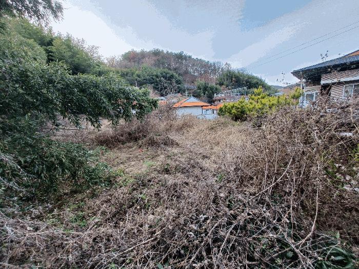경상남도 진주시 장재동 442 대지 경매 사진 6