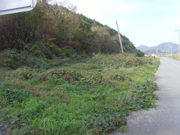 전라남도 진도군 의신면 만길리 402-4 답 경매 사진 7
