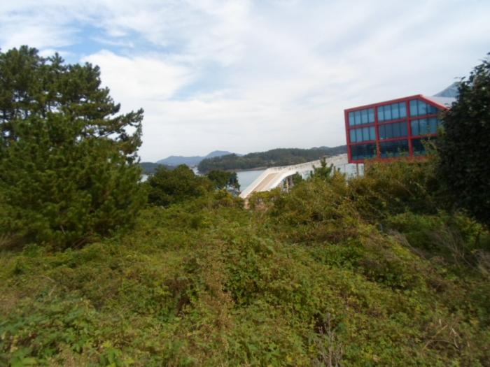 전라남도 진도군 군내면 녹진리 1-34 근린시설 경매 사진 8