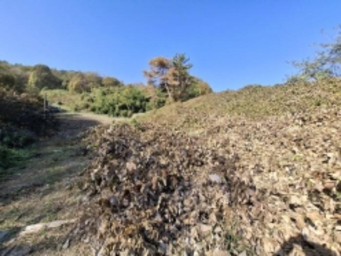 경상남도 사천시 곤양면 대진리 348 임야 경매 사진 16
