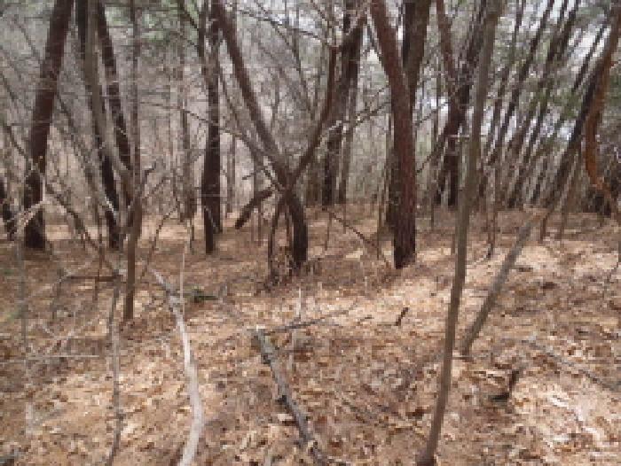 전북특별자치도 완주군 고산면 양야리 684-2 임야 경매 사진 16