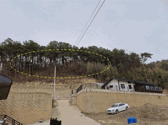 전북특별자치도 완주군 고산면 양야리 684-2 임야 경매 사진 2