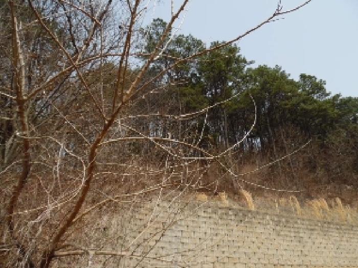 전북특별자치도 완주군 고산면 양야리 684-2 임야 경매 사진 34