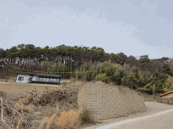 전북특별자치도 완주군 고산면 양야리 684-2 임야 경매 사진 4