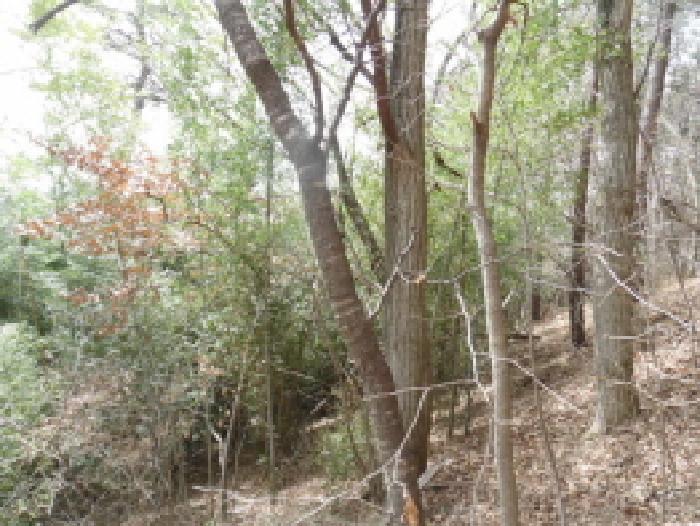 전북특별자치도 완주군 고산면 양야리 684-2 임야 경매 사진 49