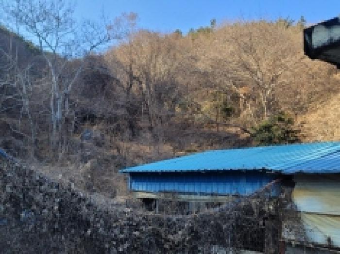 경상남도 통영시 도산면 수월리 1205 축사(농가시설) 경매 사진 5