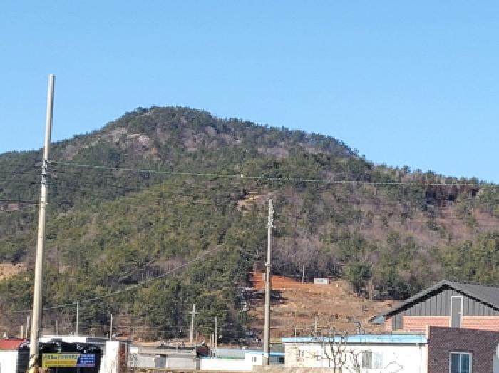 전라남도 여수시 화양면 화동리 산56 임야 경매 사진 1