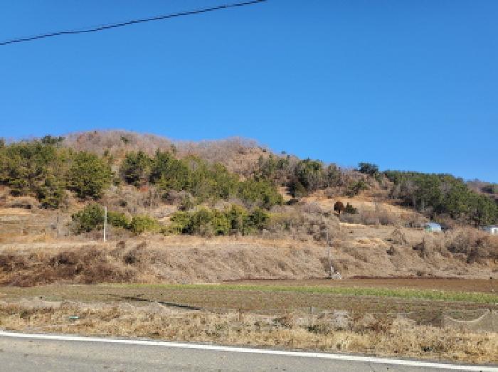 전라남도 여수시 화양면 화동리 산56 임야 경매 사진 6