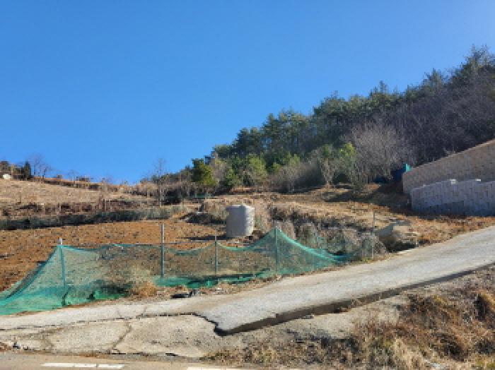 전라남도 여수시 화양면 화동리 산56 임야 경매 사진 8