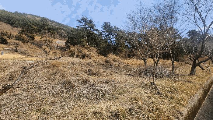 경상남도 통영시 도산면 저산리 산121 임야 경매 사진 3