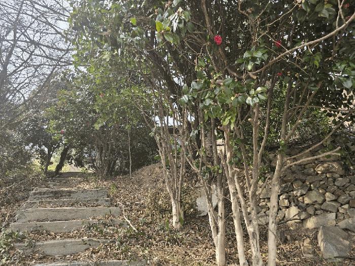 전라남도 여수시 광무동 961 전 경매 사진 10