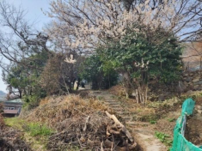 전라남도 여수시 광무동 961 전 경매 사진 11