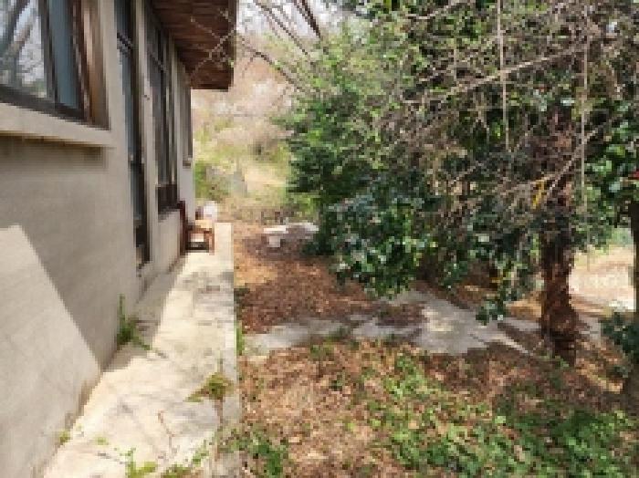 전라남도 여수시 광무동 961 전 경매 사진 12