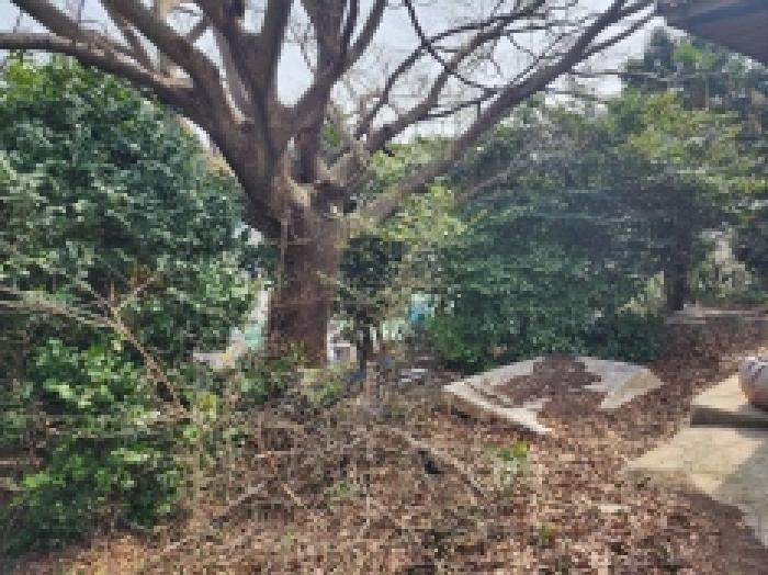 전라남도 여수시 광무동 961 전 경매 사진 13