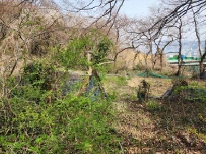 전라남도 여수시 광무동 961 전 경매 사진 15