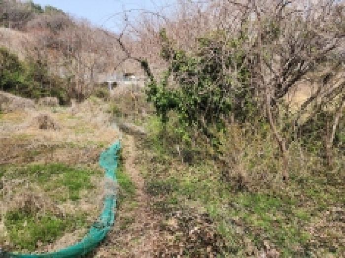 전라남도 여수시 광무동 961 전 경매 사진 17