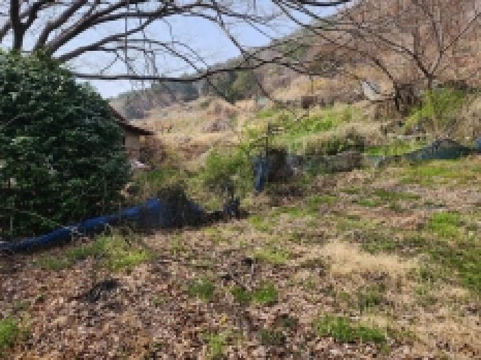 전라남도 여수시 광무동 961 전 경매 사진 19