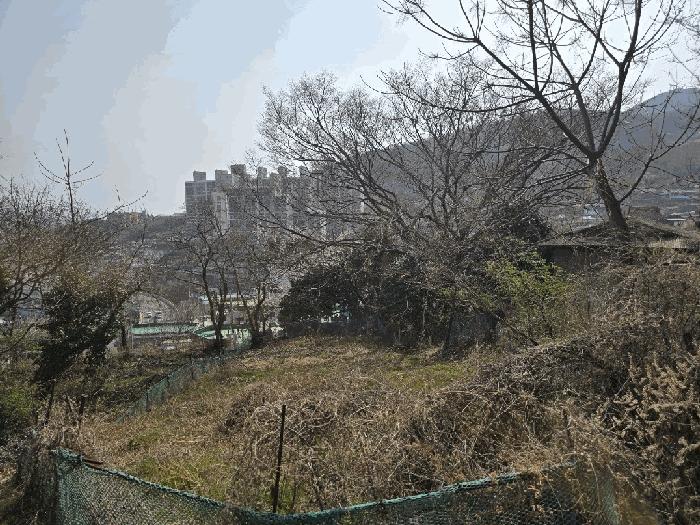 전라남도 여수시 광무동 961 전 경매 사진 2