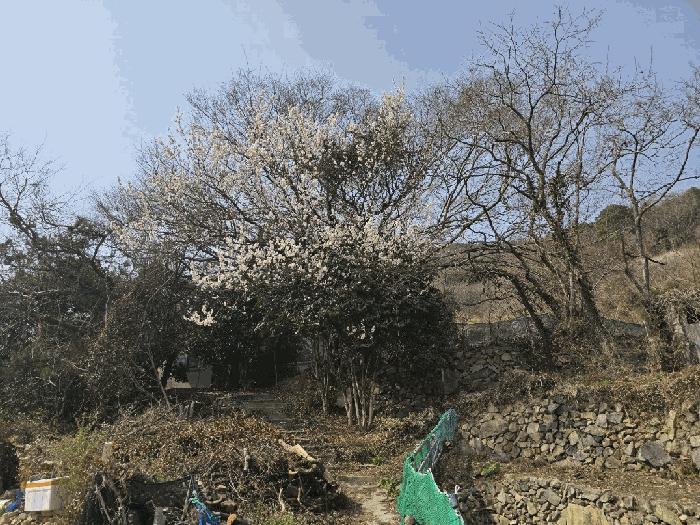 전라남도 여수시 광무동 961 전 경매 사진 3