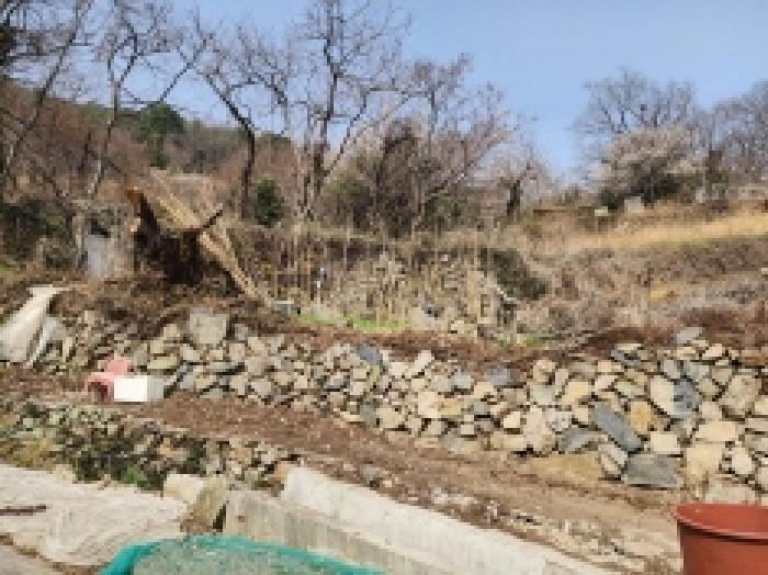 전라남도 여수시 광무동 961 전 경매 사진 31