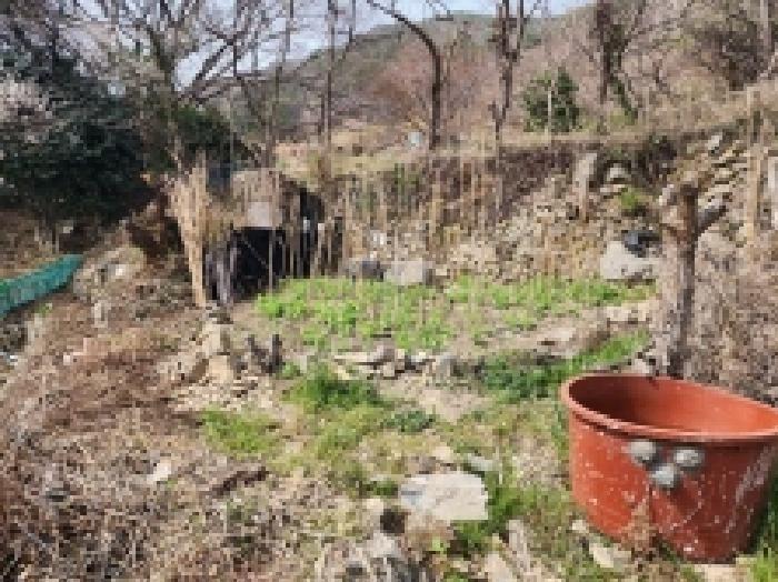 전라남도 여수시 광무동 961 전 경매 사진 33