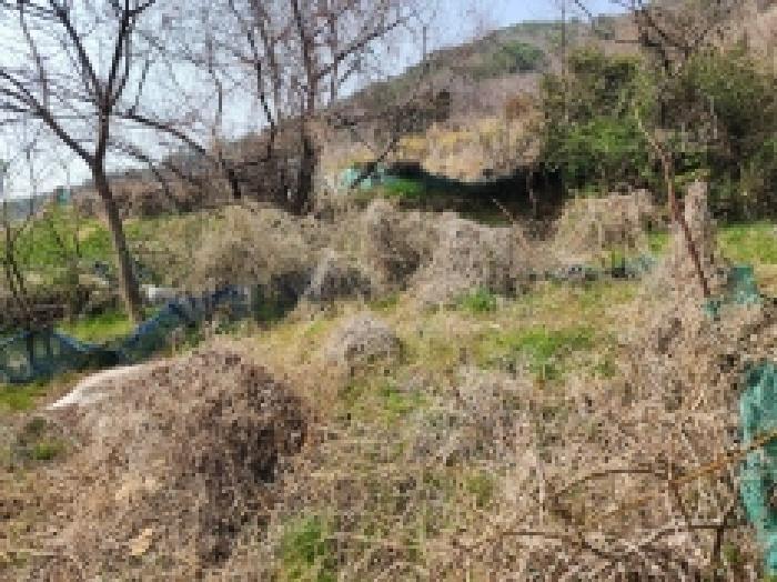 전라남도 여수시 광무동 961 전 경매 사진 37