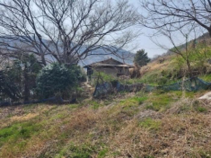 전라남도 여수시 광무동 961 전 경매 사진 38