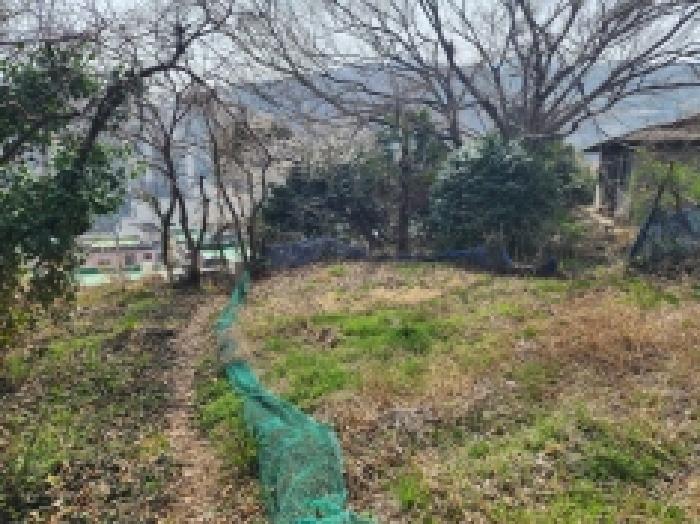 전라남도 여수시 광무동 961 전 경매 사진 39