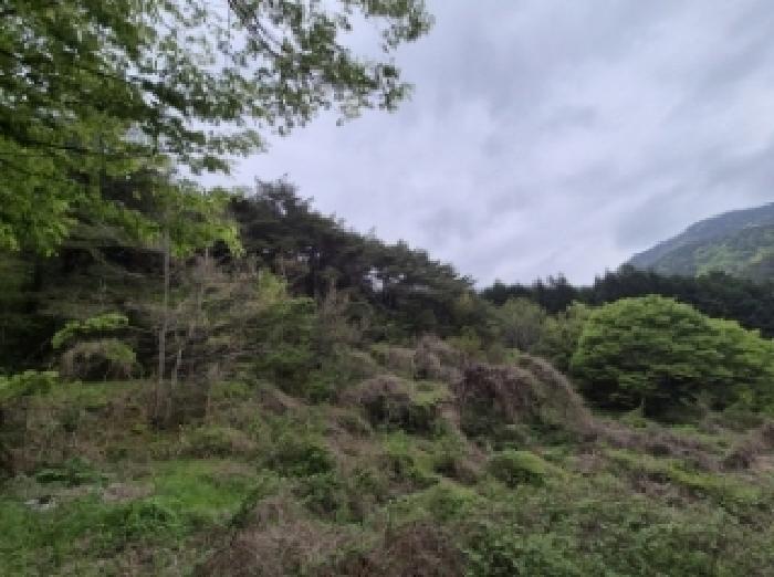 경상남도 고성군 고성읍 송학리 286-1 주택 경매 사진 18