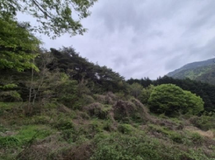 경상남도 고성군 고성읍 송학리 286-1 주택 경매 사진 21